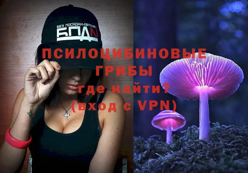 Галлюциногенные грибы Psilocybe  Мытищи 